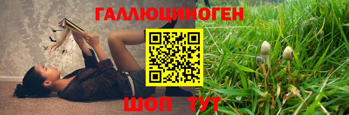 Коряжма  Псилоцибиновые грибы мицелий  Вход с VPN 